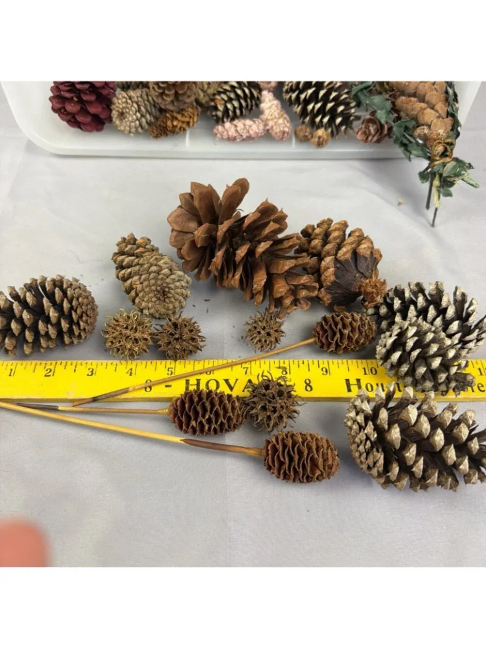 Huge Mix Lot Pinecone Sweet Gum Pods Home Decor Crafts Floral Design